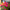 Bouquet of colorful flowers with pink, orange, and green hues.