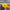 Yellow rose held by a gloved hand with a blurred indoor setting